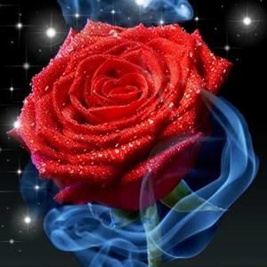 Meet your Posher, Estrella